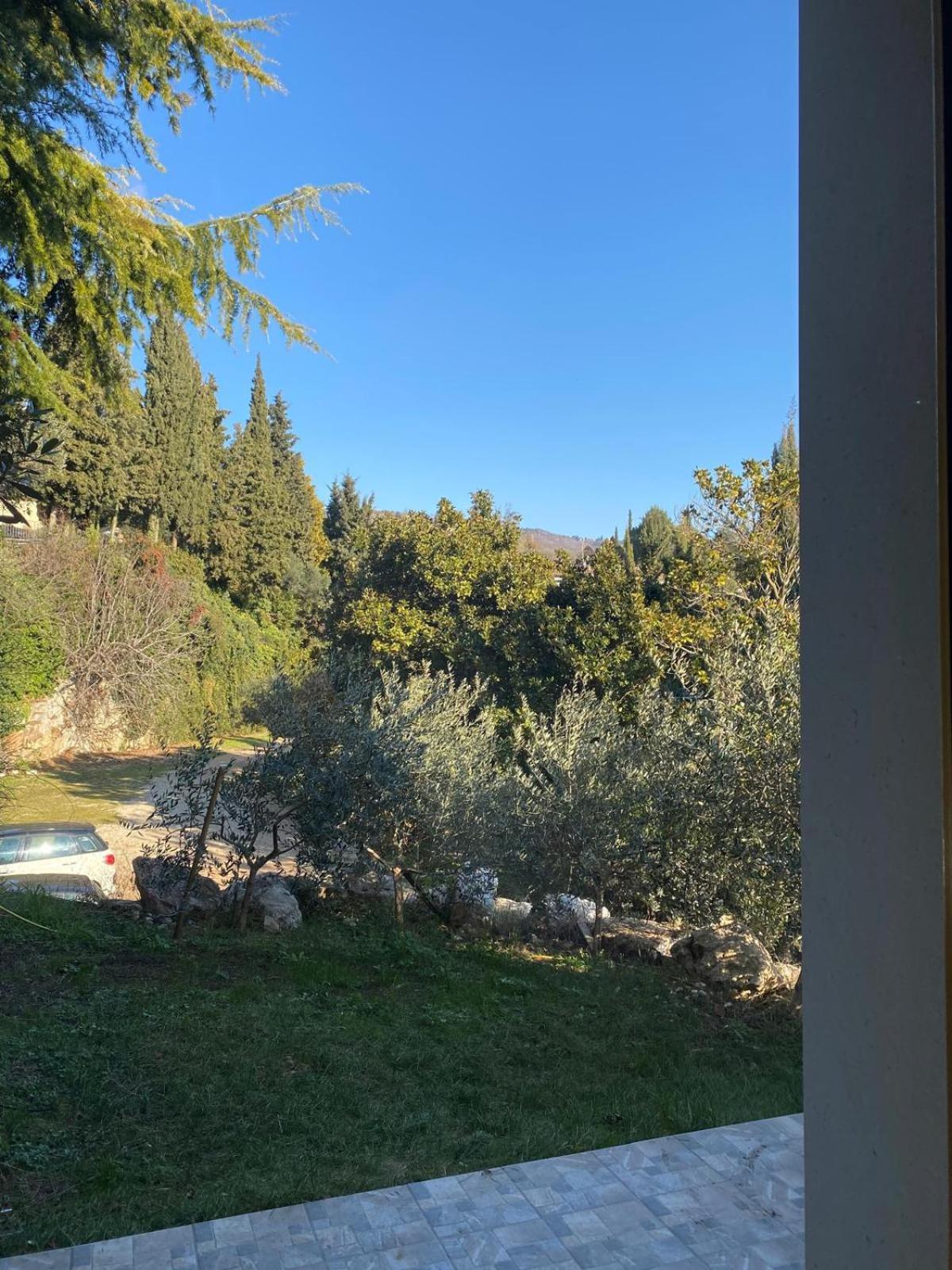 Agriturismo I Merli SantʼAmbrogio di Valpolicella المظهر الخارجي الصورة